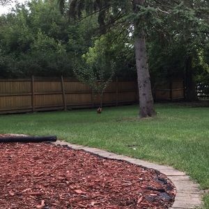 Meet your Posher, Agnes